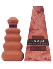 samba-sambanova-cab.jpg
